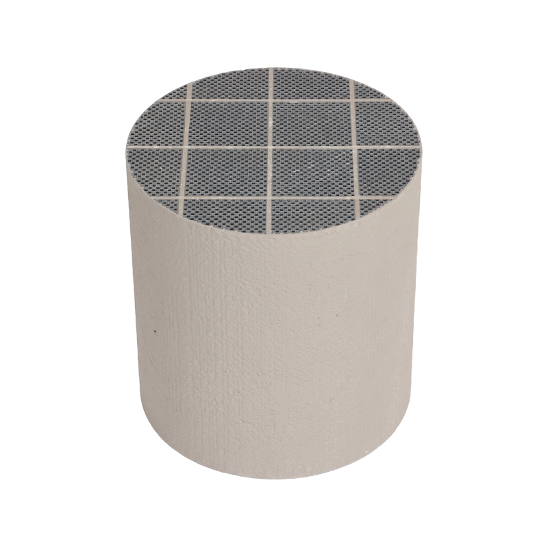 Silicij karbid DPF katalizator